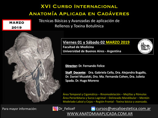 Curso Internacional Anatomía Aplicada en Cadáveres: técnicas básicas y avanzadas de aplicación de rellenos faciales y toxina botulínica Curso Internacional Anatomía Aplicada en Cadáveres: técnicas básicas y avanzadas de aplicación de rellenos faciales y toxina botulínica