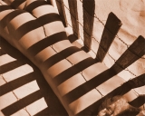 Fototoxicidad y fotoalergia: caracter�sticas diferenciales