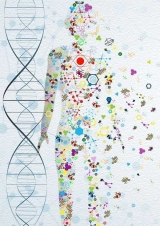 Consulta, diagn�stico y terap�utica ortomolecular