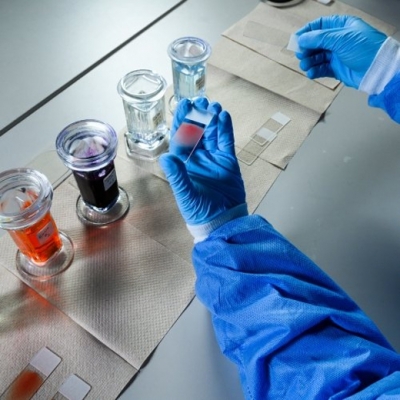 Ultimos avances en biotecnolog�a m�dica